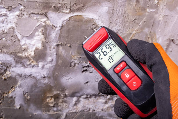 Best Commercial Mold Removal  in Maple Heights, OH