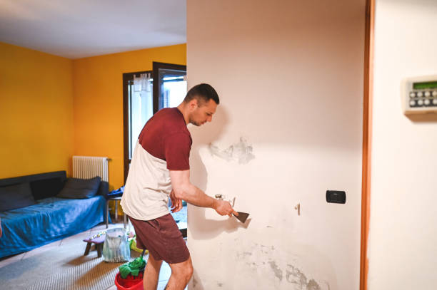 Best Certified Mold Removal  in Maple Heights, OH